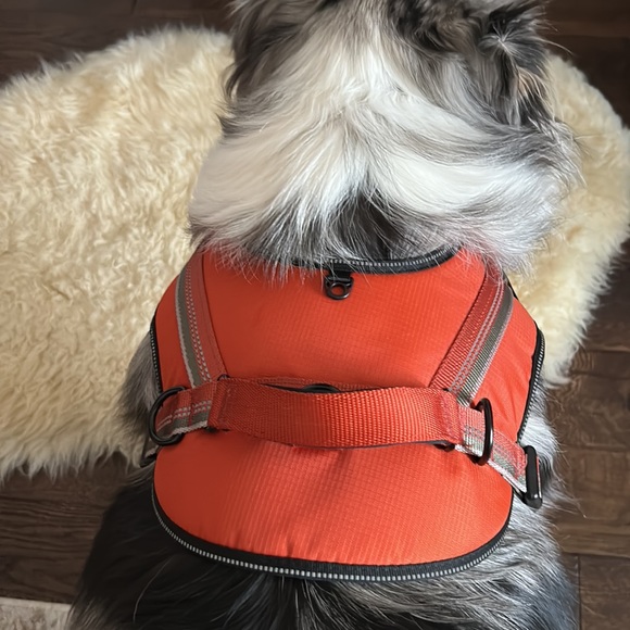 Large dog walking harness - Picture 4 of 6